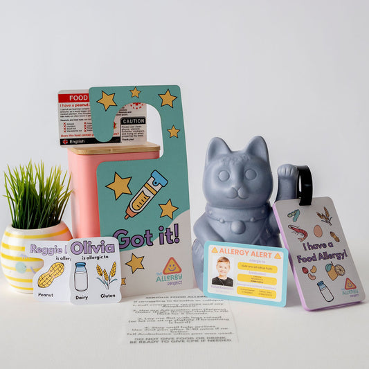 Safe Travels Kit: French – Allergy-Friendly Travel Essentials