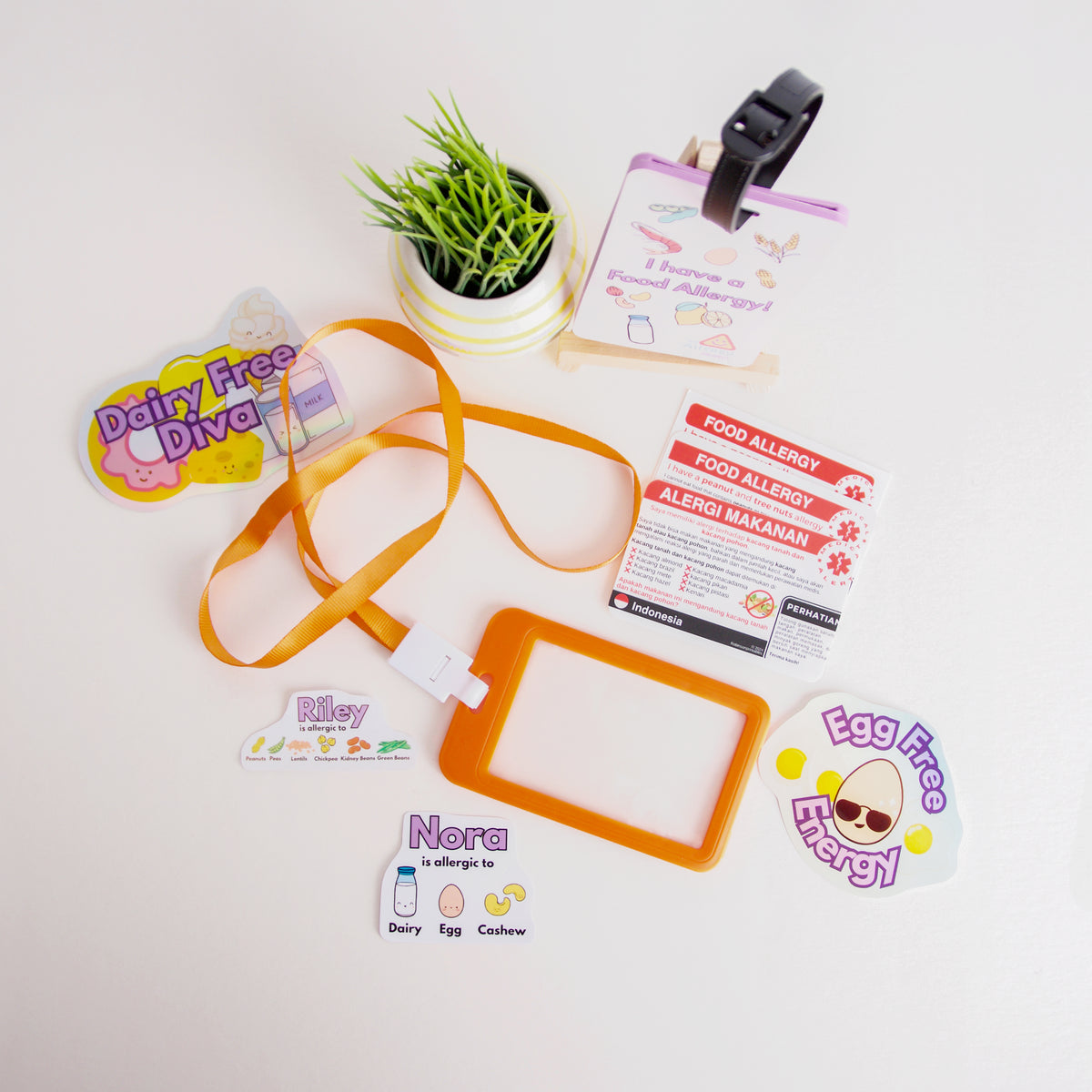 Allergy awareness products including a lanyard, card, and stickers on a white background.